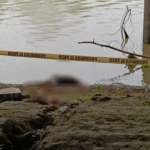 ¡Flotando en el Grijalva! Hallan cadáver abajo del malecón.