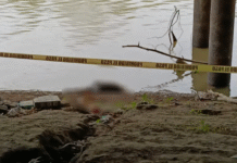 ¡Flotando en el Grijalva! Hallan cadáver abajo del malecón.