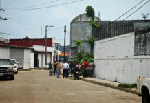 Encuentran a hombre sin vida en lote baldío.