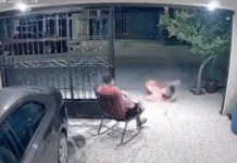 Travesura perruna cancela la carnita asada familiar.