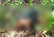 Encuentran sin vida a desaparecido en Macuspana.