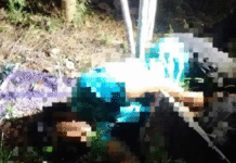 ¡Tirado entre el monte! Encuentran cadáver de un desconocido.
