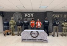 La FGR asegura 254 kilos de droga en Cárdenas.