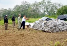 Incineran casi una tonelada de droga en Tabasco.