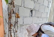 ¡Limpia tu patio o el dengue te mandará al hospital!