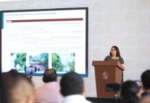 CFE restablece el 98% de la energía eléctrica en Tabasco.