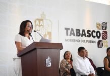 Presentan cartelera del Festival Cultural Ceiba de verano.