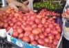 El precio del tomate baja en Tabasco.