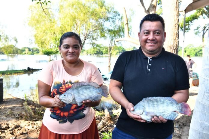 pescando