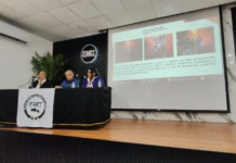 Fiscalía reporta cincuenta y seis muertes violentas de mujeres en Tabasco.