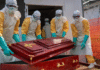 Brote de Ébola en el Congo Deja 399 Muertos.