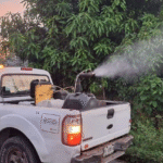 Tabasco baja al cuarto lugar nacional en dengue.