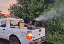 Tabasco baja al cuarto lugar nacional en dengue.
