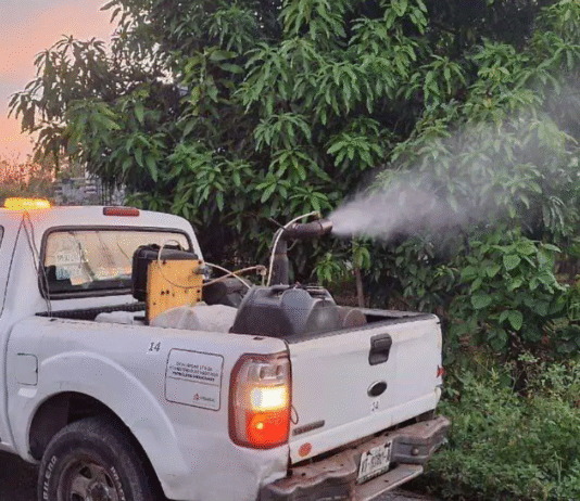 Tabasco baja al cuarto lugar nacional en dengue.