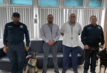 ¡Los perros policías de Tabasco son verdaderos héroes de élite!