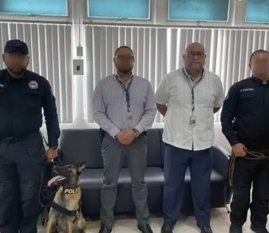 ¡Los perros policías de Tabasco son verdaderos héroes de élite!