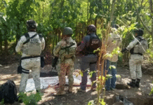 Hallan restos de matrimonio desaparecido en Campeche.