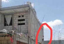 Indignación en Teapa por muerte de lomito ahorcado.