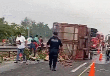 ¡Indignante escena! Hacen rapiña tras incendio de tráiler en carretera.
