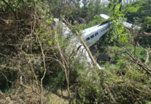 Avioneta se desploma en Pesquería; tres lesionados.