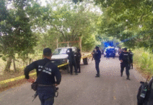 Hallan dos cuerpos ejecutados en camioneta abandonada.