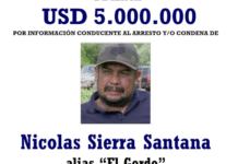 Cae «El Doctor» operador de los viagras en Michoacán