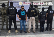 Detienen en Mérida a presunto operador del Cártel del Noreste.
