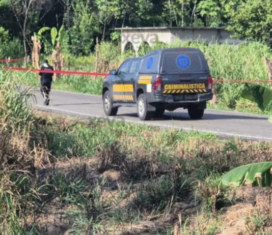 Dejan cuerpos descuartizados en Río Tinto.