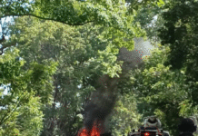 Auto se estrella contra árbol y termina calcinado.