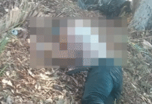 Hallan hombre torturado en Tamulté de las Sabanas.