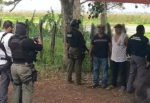 ¡Los cazan in fraganti! Vecinos amarran y entregan a dos abigeos.