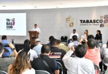 Histórico precio de garantía para el cacao.