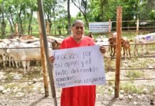 El campo tabasqueño se pone las pilas con nuevos nacimientos.