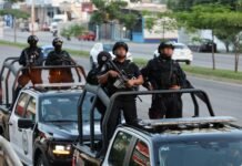 Gabinete de Seguridad asegura 600 kilos de marihuana y pirotecnia.