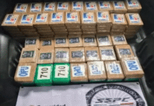 ¡Decomisan 217 kilos de cocaína en Tlalpan!
