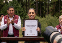 Sheinbaum moviliza a todo México por los bosques.