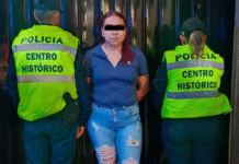 ¡Cae falsificadora con arsenal de documentos piratas!