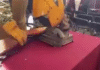 ¡Desarme militar! Arma explota en plena Feria.