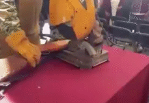 ¡Desarme militar! Arma explota en plena Feria.