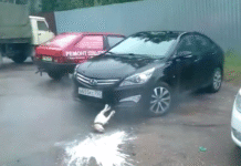 ¡Perro congelado por una explosión se vuelve leyenda rusa!