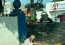 Abejas Atacan a Personas en Situación de Calle.