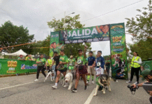 ¡Mil lomitos se apoderan de las calles en gran caminata!