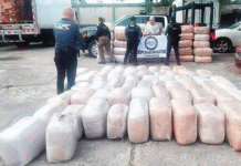 ¡Camión nodriza al descubierto! Decomisan más de una tonelada de marihuana.