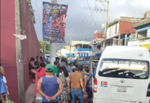 Van del transporte público arrolla a peatón.