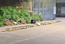 Encuentran cabeza humana dentro de hielera en Indeco.