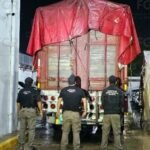 ¡Decomisan tonelada de mota y dictan encierro!.
