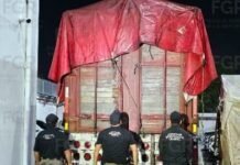 ¡Decomisan tonelada de mota y dictan encierro!.