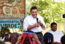 ¡A reforestar! Javier May convoca a campesinos.
