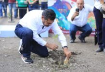 ¡Manos a la tierra! Tabasco siembra esperanza verde.