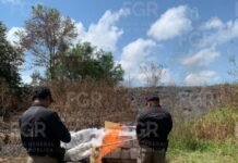¡A la hoguera! Incineran más de 280 kilos de narcóticos.